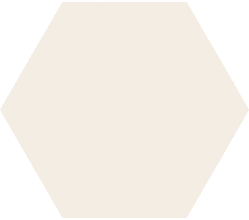 Hexagon Timeless Ivory mat 15×17