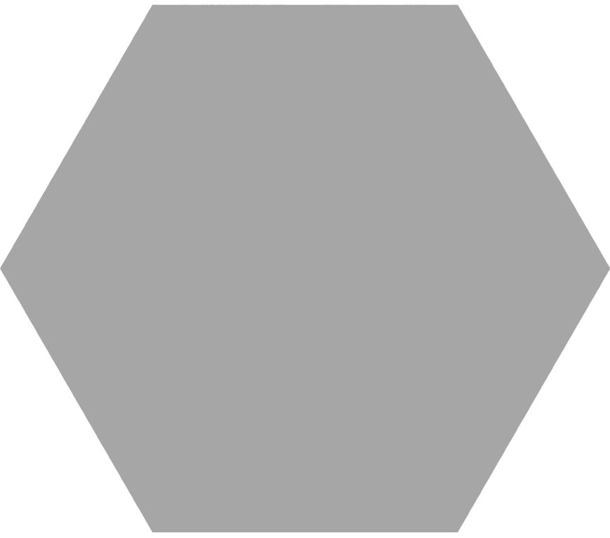 Hexagon Timeless Grey mat 15×17